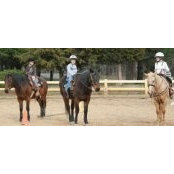 Treva Turman's photo