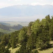 Virginia Moraga's photo