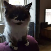 Michael Thomas-Discombe's photo