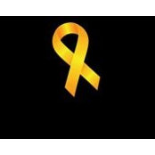 Pam Sarkissian's photo