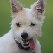 Michelle DuFour's photo
