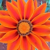 Barb Volkman's photo