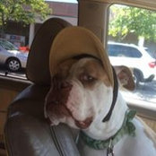 Stephanie Peglow's photo