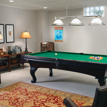 Basement Finishing Ideas