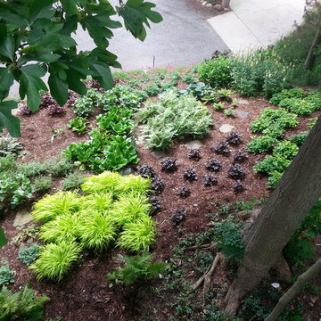 Duneside Shade Garden