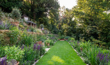 Lush Terraced Landscape Takes Shape on a Steep Slope