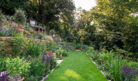 Lush Terraced Landscape Takes Shape on a Steep Slope