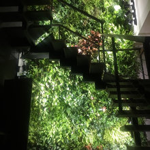 Sarina House