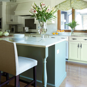 Kitchen Remodel in Glen Ellyn