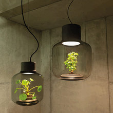 Iluminación
