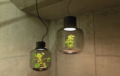Diseño y tecnología: Descubre la lámpara en la que crecen plantas