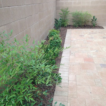 Garden and Interlocking Pavers