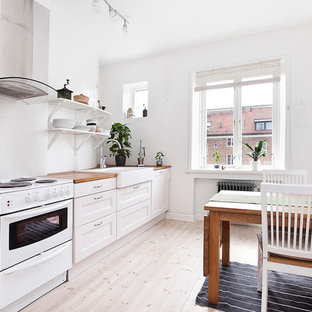 75 Most Popular Scandinavian Kitchen With A Farmhouse Sink