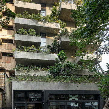 Short Lane, by architects Woods Bagot