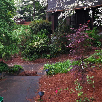Landscaping & Hardscaping