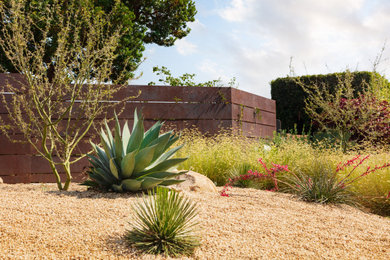 Design ideas for a small midcentury garden in Santa Barbara.