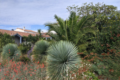 Diseño de jardín de secano marinero grande en primavera en patio trasero con parterre de flores, exposición total al sol, entablado y con madera