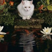 Foto von Penny Shirk
