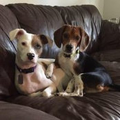 Amelia Ledford's photo