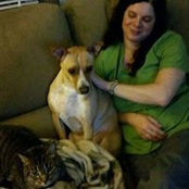 Chantale Perreault's photo