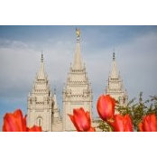 Jonah Heiner's photo