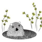 Virginia Odien's photo