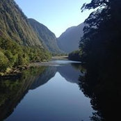 Daphne Somkin's photo