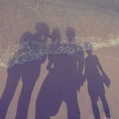 Foto di Tracy Gothe