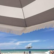 Mona Whaleys foto