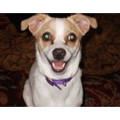Floyd Simmons's photo