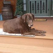 Beverly Cilurso's photo