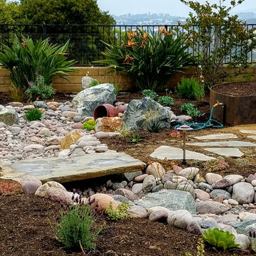 Vista Lawn Removal