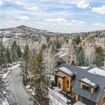 Park Meadows Remodel