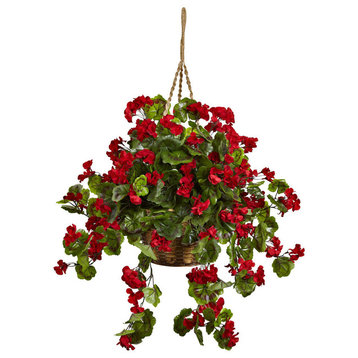 Geranium Hanging Basket UV Resistant, Indoor/Outdoor, Red