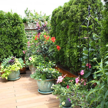 Wisteria & Rose roof deck designs. Visit www.wisteriaandrose.com for more info!