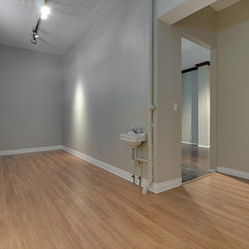 Historic Renovation of Last Remaining Rowhouse Downtown St Louis Mo
