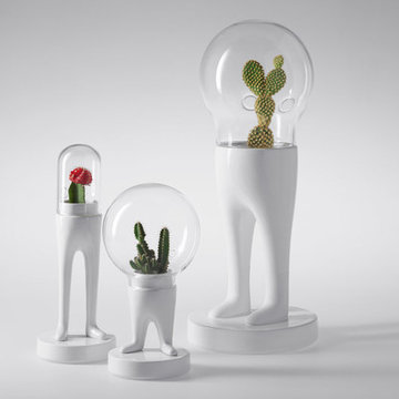Bosa | Camerich LA Accessories