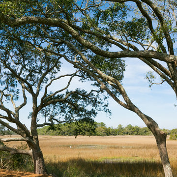Wando View Street 1, Daniel Island, SC