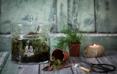 DIY : Créer un terrarium en pleine conscience pour se ressourcer