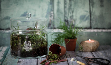 DIY : Créer un terrarium en pleine conscience pour se ressourcer