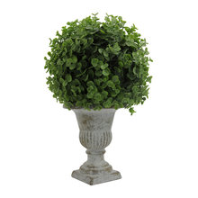 Landscape Ideas