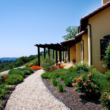 Adelaide Italian, Paso Robles