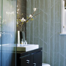 Guest Bathrooms