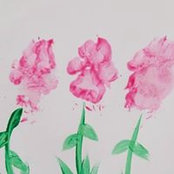 sue mercer's photo