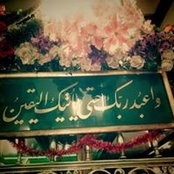 Photo de Shimaa Said