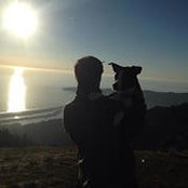 Tim Shephard's photo