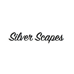 Silverscapes