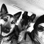 Sam Scham's photo