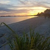 Dorene Malling's photo