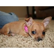 Sue Hampton's photo